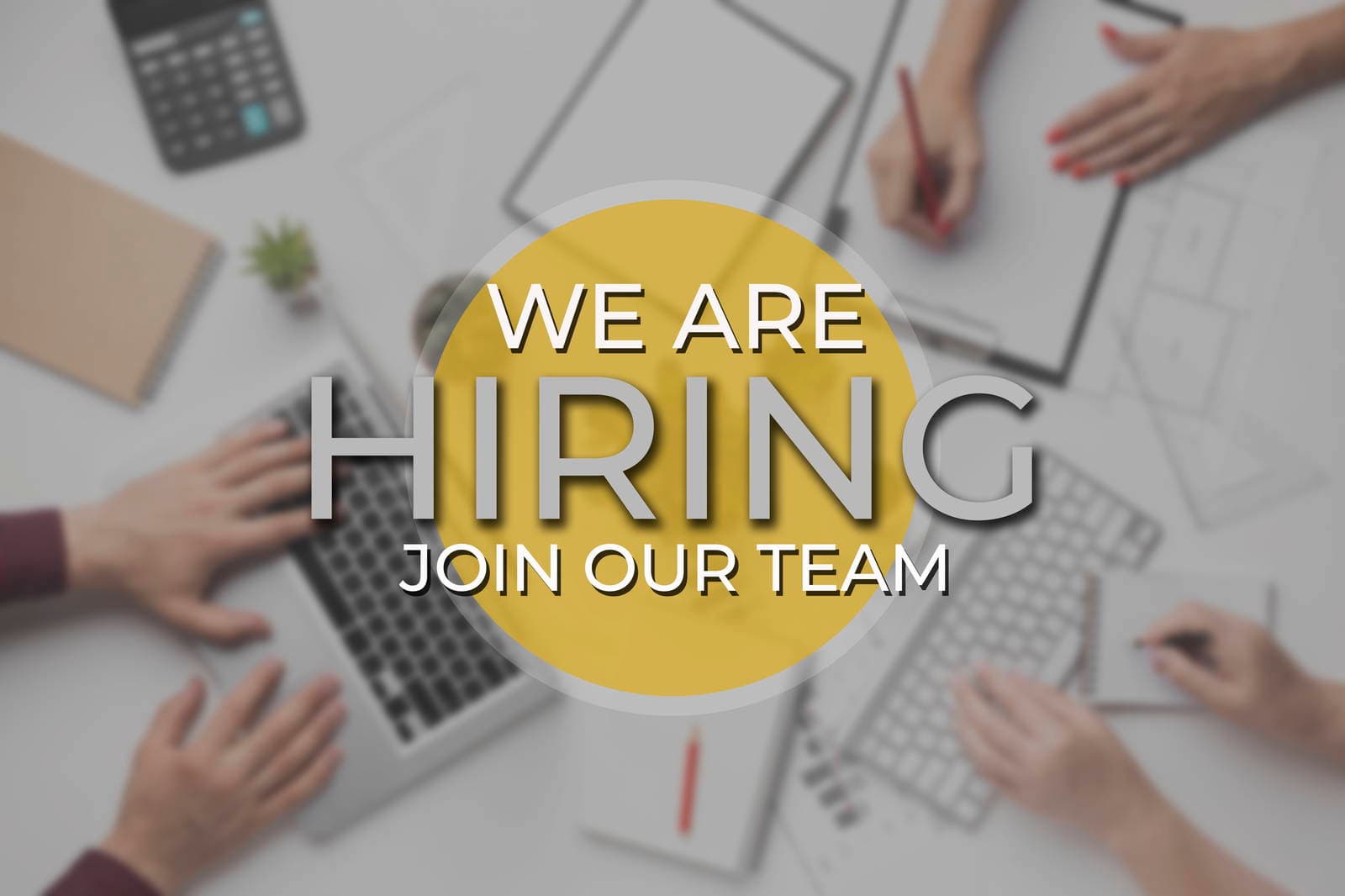 Careers at Marhaba Auctions